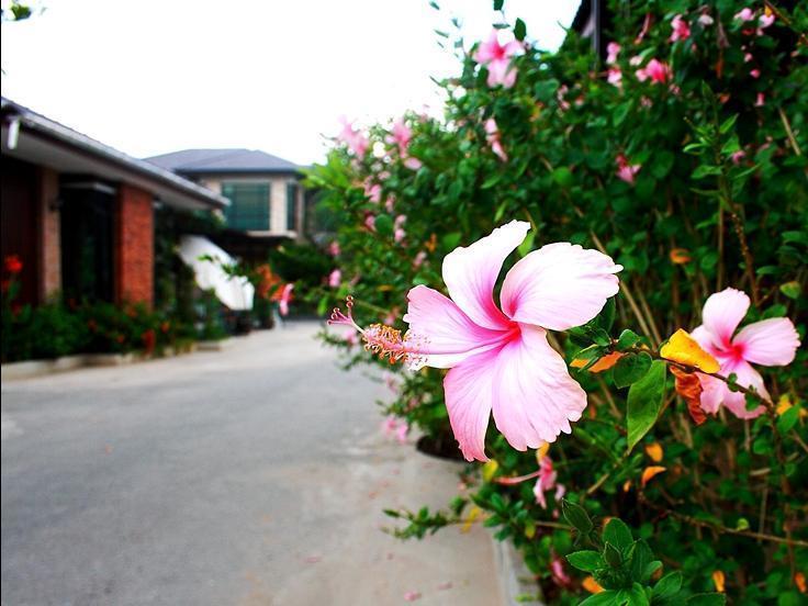 Yenjit Resort Chachoengsao Esterno foto